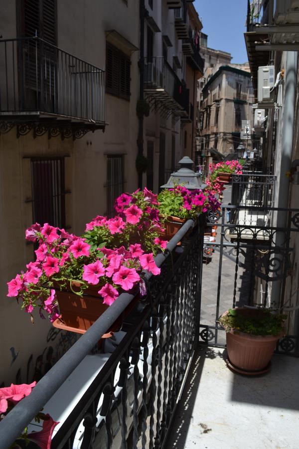 Sunflower Garden Palermo Exterior photo